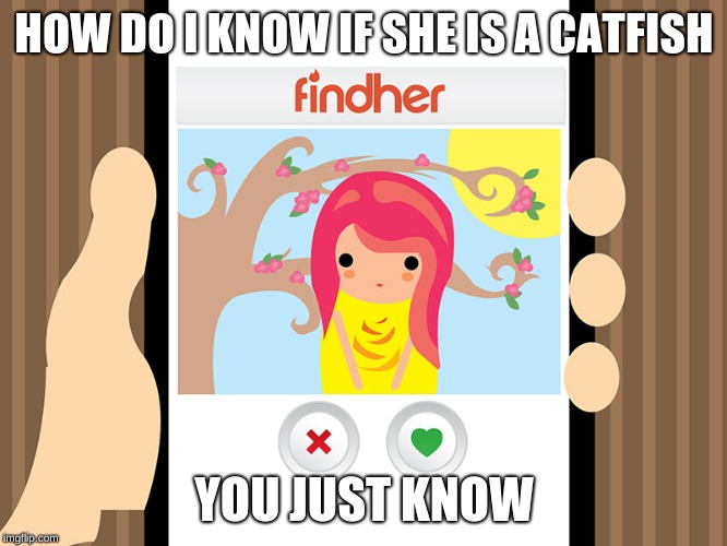 HOW DO I KNOW IF SHE IS A CATFISH; YOU JUST KNOW | image tagged in catfish | made w/ Imgflip meme maker