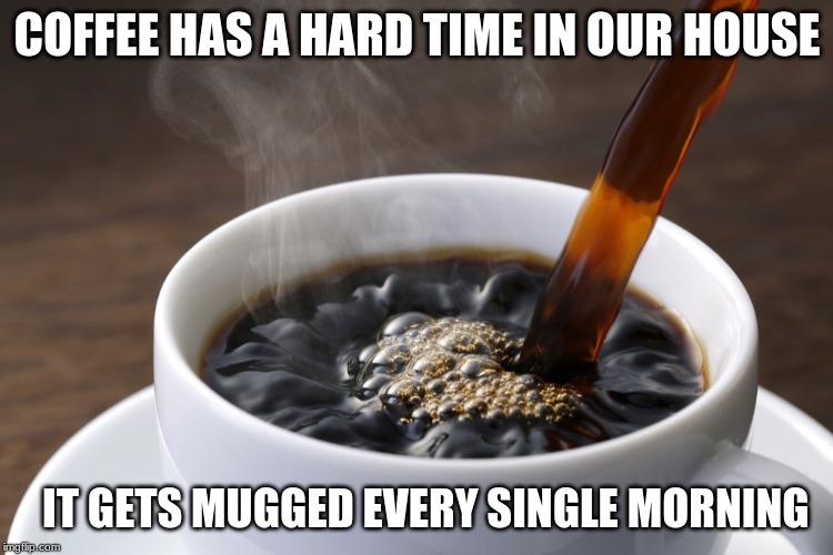 COFFEE HAS A HARD TIME IN OUR HOUSE; IT GETS MUGGED EVERY SINGLE MORNING | image tagged in funny meme,funny | made w/ Imgflip meme maker