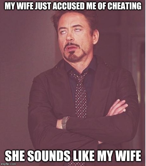 Face You Make Robert Downey Jr Meme | MY WIFE JUST ACCUSED ME OF CHEATING; SHE SOUNDS LIKE MY WIFE | image tagged in memes,face you make robert downey jr | made w/ Imgflip meme maker