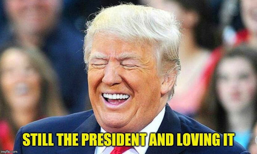 Trump laughing  | STILL THE PRESIDENT AND LOVING IT | image tagged in trump laughing | made w/ Imgflip meme maker