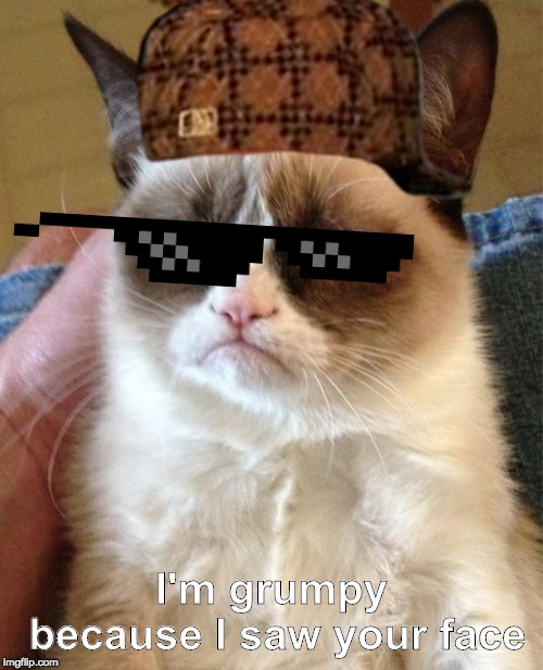 Grumpy Cat Meme | I'm grumpy because I saw your face | image tagged in memes,grumpy cat | made w/ Imgflip meme maker