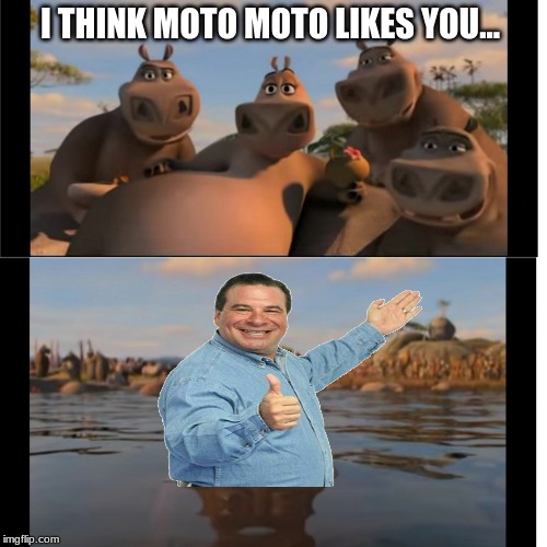 Moto Moto | I THINK MOTO MOTO LIKES YOU... | image tagged in moto moto | made w/ Imgflip meme maker