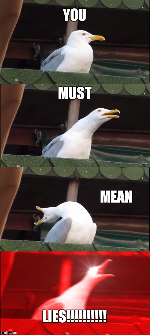 Inhaling Seagull Meme | YOU MUST MEAN LIES!!!!!!!!!! | image tagged in memes,inhaling seagull | made w/ Imgflip meme maker