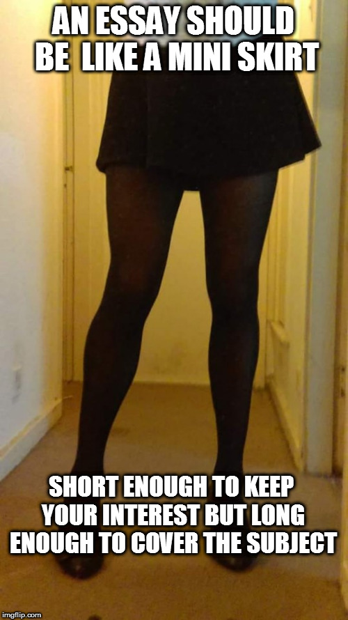 Legs | AN ESSAY SHOULD BE  LIKE A MINI SKIRT; SHORT ENOUGH TO KEEP YOUR INTEREST BUT LONG ENOUGH TO COVER THE SUBJECT | image tagged in legs | made w/ Imgflip meme maker