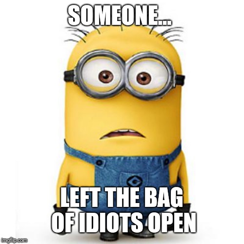 Minions | SOMEONE... LEFT THE BAG OF IDIOTS OPEN | image tagged in minions | made w/ Imgflip meme maker