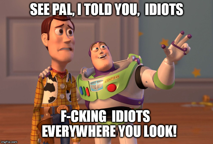 we're Swimming in a  Sea  of them! | SEE PAL, I TOLD YOU,  IDIOTS; F-CKING  IDIOTS   EVERYWHERE YOU LOOK! | image tagged in memes,x x everywhere,buzz and woody,see pal,x everywhere,i told you | made w/ Imgflip meme maker