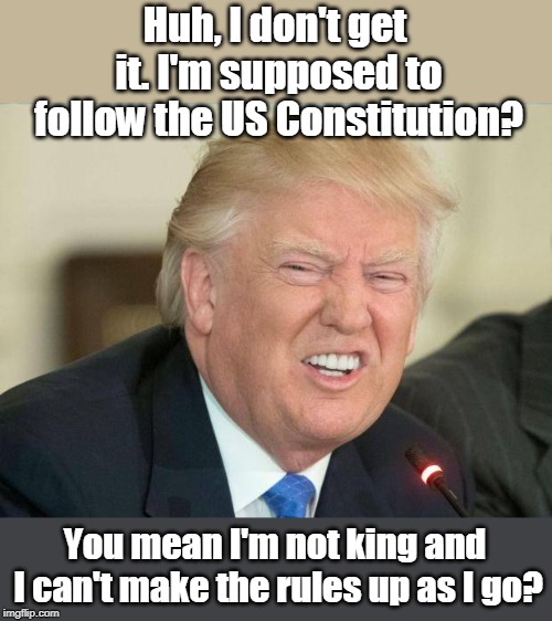 Presidents are NOT immune from indictment under the Constitution | Huh, I don't get it. I'm supposed to follow the US Constitution? You mean I'm not king and I can't make the rules up as I go? | image tagged in trump is a crook,trump is guilty of obstruction,trump is guilty of accepting gifts from foreign governments,trump is guilty of p | made w/ Imgflip meme maker