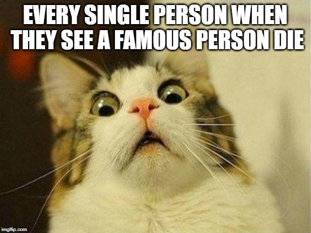 Scared Cat | EVERY SINGLE PERSON WHEN THEY SEE A FAMOUS PERSON DIE | image tagged in memes,scared cat | made w/ Imgflip meme maker