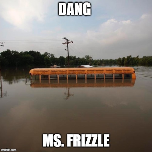 Flooded school bus | DANG; MS. FRIZZLE | image tagged in flooded school bus | made w/ Imgflip meme maker