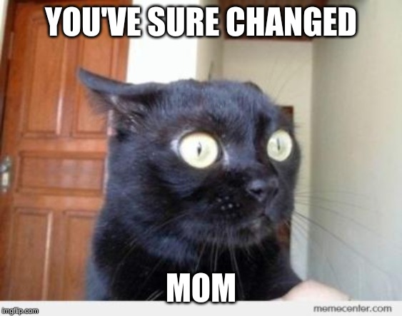 Scared Cat | YOU'VE SURE CHANGED MOM | image tagged in scared cat | made w/ Imgflip meme maker