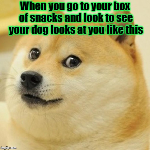 Doge | When you go to your box of snacks and look to see your dog looks at you like this | image tagged in memes,doge | made w/ Imgflip meme maker