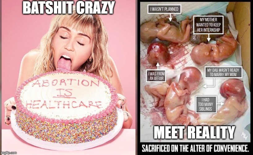 Reality is a harsh pill to swallow | BATSHIT CRAZY; MEET REALITY | image tagged in reality,crazy,hollywood | made w/ Imgflip meme maker