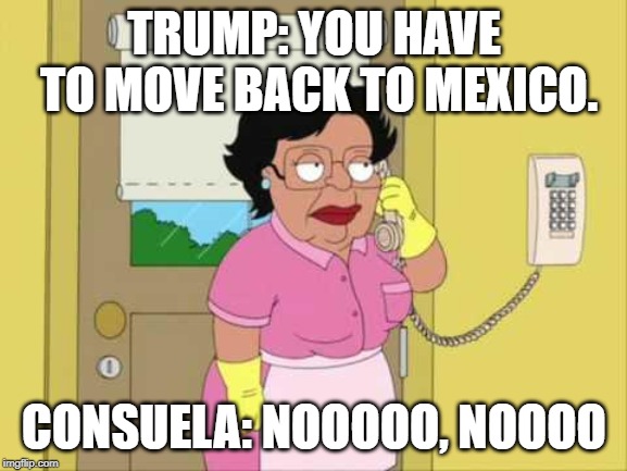 Consuela Meme | TRUMP: YOU HAVE TO MOVE BACK TO MEXICO. CONSUELA: NOOOOO, NOOOO | image tagged in memes,consuela | made w/ Imgflip meme maker