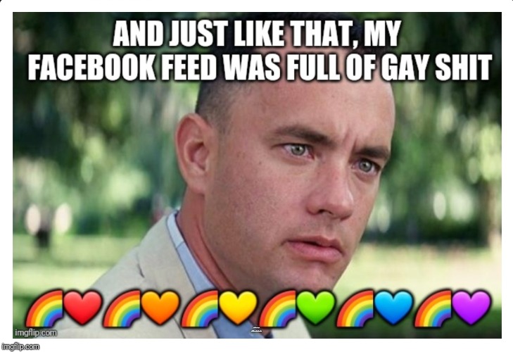 Happy Pride Month! | AND JUST LIKE THAT, MY FACEBOOK FEED WAS FULL OF HAY SHIT | image tagged in forrest gump,gay pride,lgbtq,gay,shit,freedom | made w/ Imgflip meme maker