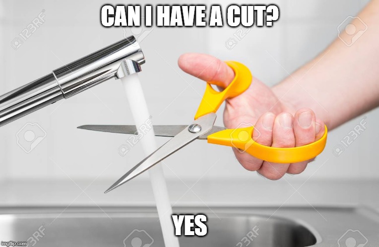 cutting water with scissors | CAN I HAVE A CUT? YES | image tagged in cutting water with scissors | made w/ Imgflip meme maker