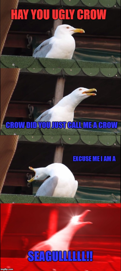 Inhaling Seagull Meme | HAY YOU UGLY CROW; CROW DID YOU JUST CALL ME A CROW; EXCUSE ME I AM A; SEAGULLLLLL!! | image tagged in memes,inhaling seagull | made w/ Imgflip meme maker