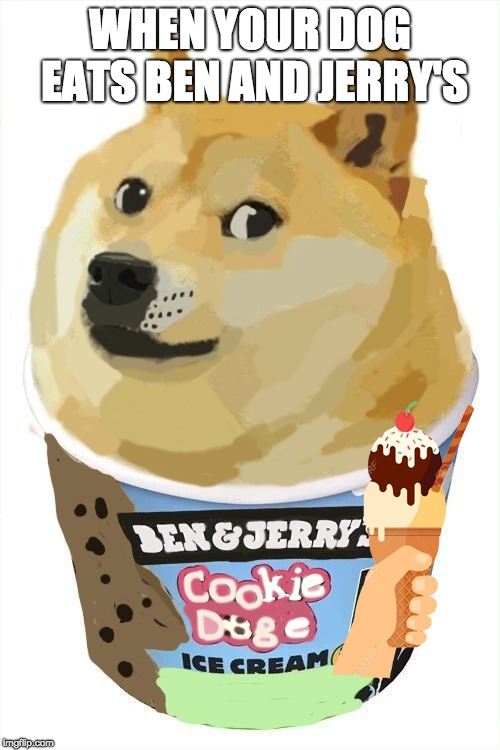 WHEN YOUR DOG EATS BEN AND JERRY'S | image tagged in police | made w/ Imgflip meme maker