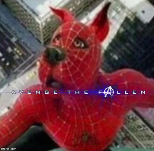 image tagged in spider man,memes | made w/ Imgflip meme maker