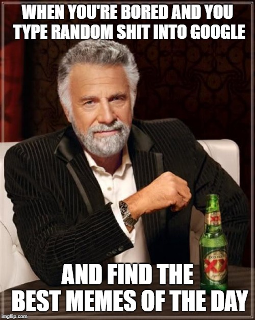 The Most Interesting Man In The World | WHEN YOU'RE BORED AND YOU TYPE RANDOM SHIT INTO GOOGLE; AND FIND THE BEST MEMES OF THE DAY | image tagged in memes,the most interesting man in the world | made w/ Imgflip meme maker