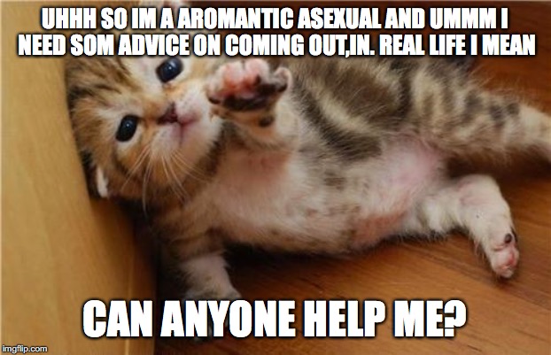 Help Me Kitten | UHHH SO IM A AROMANTIC ASEXUAL AND UMMM I NEED SOM ADVICE ON COMING OUT,IN. REAL LIFE I MEAN; CAN ANYONE HELP ME? | image tagged in help me kitten | made w/ Imgflip meme maker