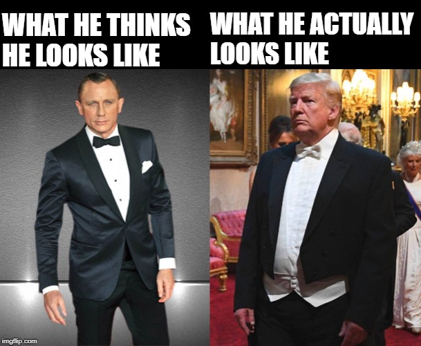 WHAT HE THINKS HE LOOKS LIKE; WHAT HE ACTUALLY  LOOKS LIKE | image tagged in donald trump is an idiot,trump,james bond | made w/ Imgflip meme maker
