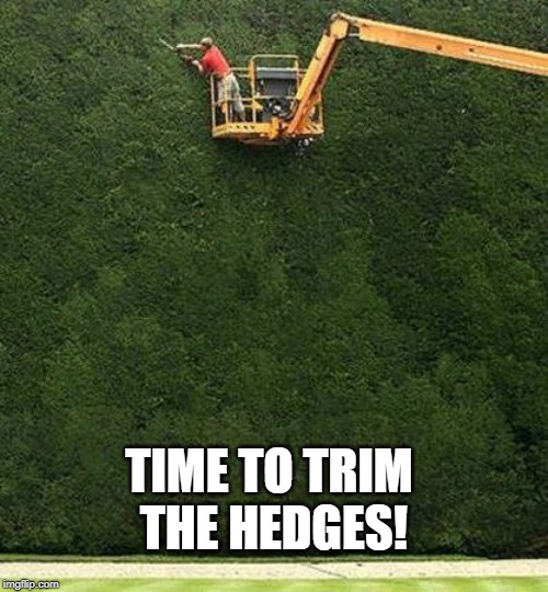 trimming the bushes | TIME TO TRIM THE HEDGES! | image tagged in trimming the bushes | made w/ Imgflip meme maker