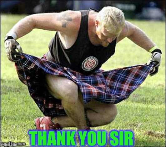 Bow | THANK YOU SIR | image tagged in bow | made w/ Imgflip meme maker
