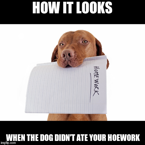 Dog Ate Homework | HOW IT LOOKS WHEN THE DOG DIDN'T ATE YOUR HOEWORK | image tagged in dog ate homework | made w/ Imgflip meme maker