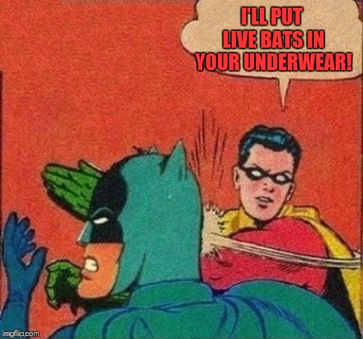 Robin Slaps Batman | I'LL PUT LIVE BATS IN YOUR UNDERWEAR! | image tagged in robin slaps batman | made w/ Imgflip meme maker