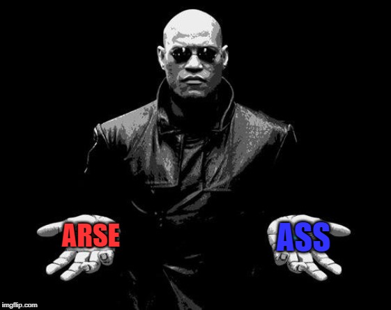 Matrix Morpheus Offer | ASS ARSE | image tagged in matrix morpheus offer | made w/ Imgflip meme maker