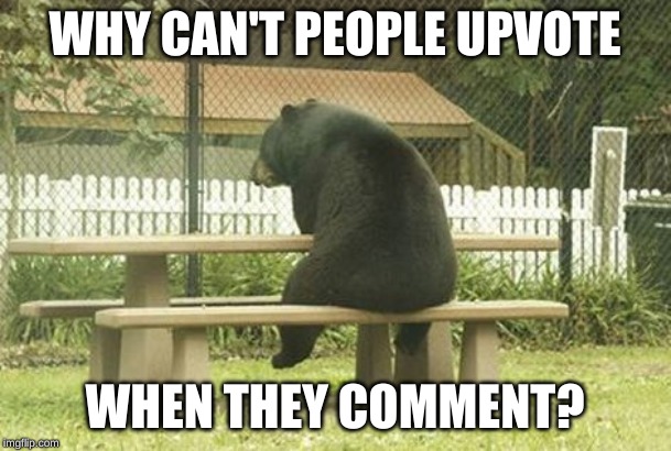 sad bear | WHY CAN'T PEOPLE UPVOTE WHEN THEY COMMENT? | image tagged in sad bear | made w/ Imgflip meme maker