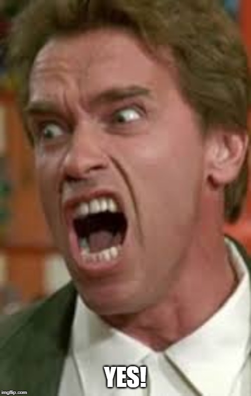 Arnold Shouting | YES! | image tagged in arnold shouting | made w/ Imgflip meme maker