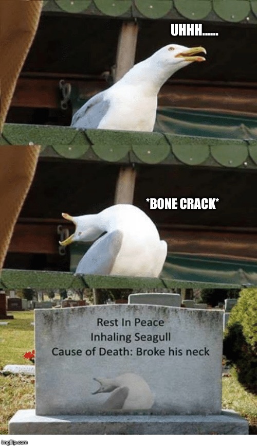 Rip | UHHH...... *BONE CRACK* | image tagged in inhaling seagull | made w/ Imgflip meme maker