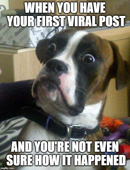 Blankie the Shocked Dog | WHEN YOU HAVE YOUR FIRST VIRAL POST; AND YOU'RE NOT EVEN SURE HOW IT HAPPENED | image tagged in blankie the shocked dog | made w/ Imgflip meme maker