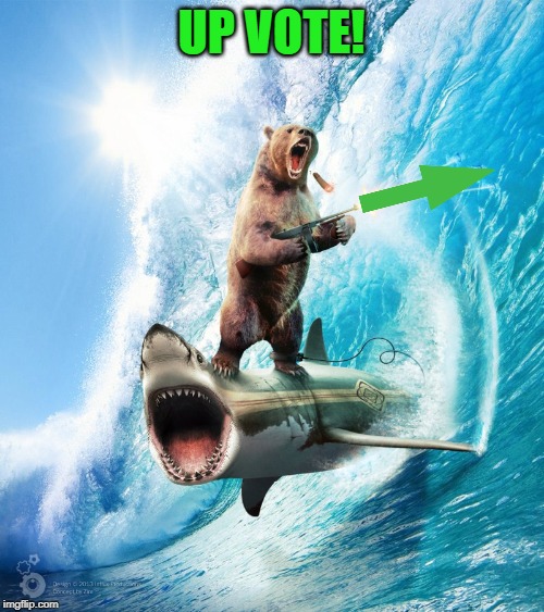 Bear Riding Shark | UP VOTE! | image tagged in bear riding shark | made w/ Imgflip meme maker