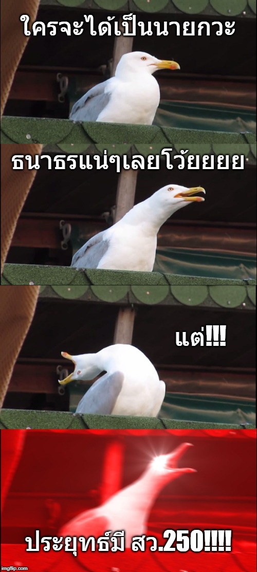 Inhaling Seagull Meme | ใครจะได้เป็นนายกวะ; ธนาธรแน่ๆเลยโว้ยยยย; แต่!!! ประยุทธ์มี สว.250!!!! | image tagged in memes,inhaling seagull | made w/ Imgflip meme maker