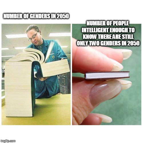Big book vs Little Book | NUMBER OF GENDERS IN 2050; NUMBER OF PEOPLE INTELLIGENT ENOUGH TO KNOW THERE ARE STILL ONLY TWO GENDERS IN 2050 | image tagged in big book vs little book | made w/ Imgflip meme maker