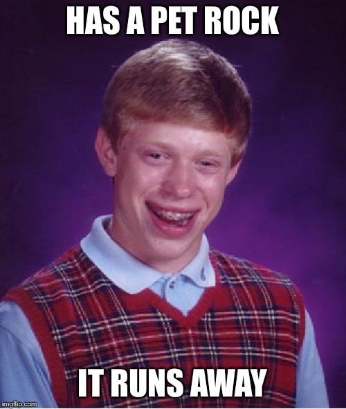 School | HAS A PET ROCK; IT RUNS AWAY | image tagged in memes,bad luck brian | made w/ Imgflip meme maker