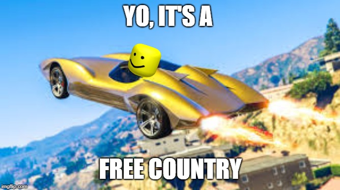 Free country | YO, IT'S A; FREE COUNTRY | image tagged in funny | made w/ Imgflip meme maker