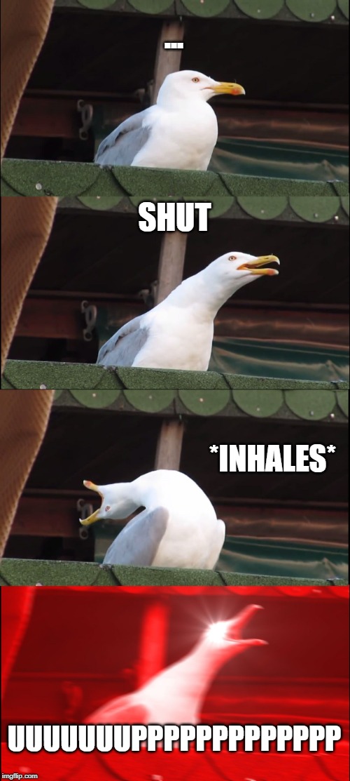 Inhaling Seagull Meme | ... SHUT; *INHALES*; UUUUUUUPPPPPPPPPPPPP | image tagged in memes,inhaling seagull | made w/ Imgflip meme maker