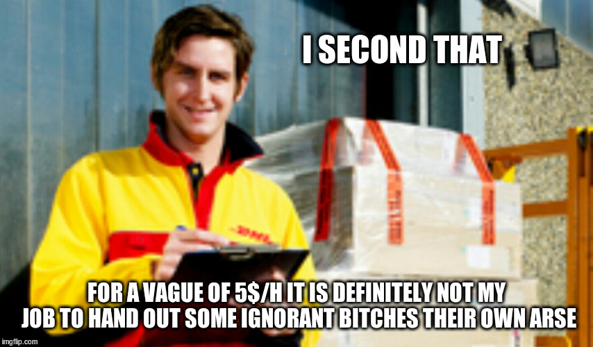 Dhl guy | I SECOND THAT FOR A VAGUE OF 5$/H IT IS DEFINITELY NOT MY JOB TO HAND OUT SOME IGNORANT B**CHES THEIR OWN ARSE | image tagged in dhl guy | made w/ Imgflip meme maker