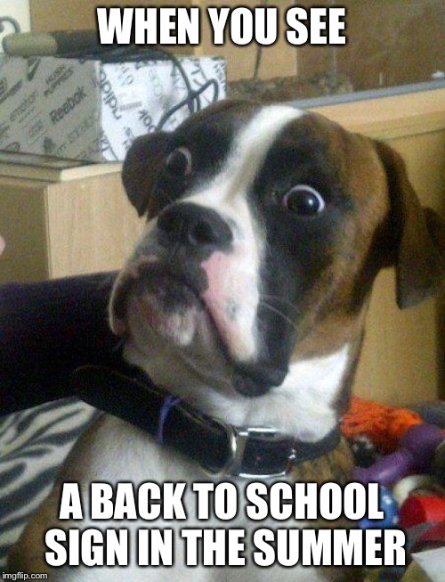 School | WHEN YOU SEE; A BACK TO SCHOOL SIGN IN THE SUMMER | image tagged in blankie the shocked dog | made w/ Imgflip meme maker