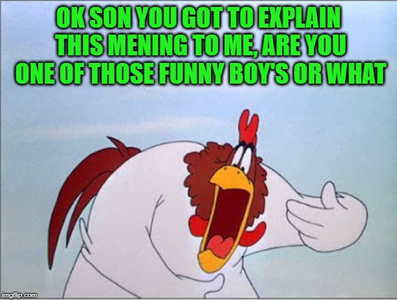 foghorn | OK SON YOU GOT TO EXPLAIN THIS MENING TO ME, ARE YOU ONE OF THOSE FUNNY BOY'S OR WHAT | image tagged in foghorn | made w/ Imgflip meme maker