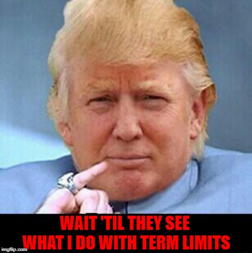 WAIT 'TIL THEY SEE WHAT I DO WITH TERM LIMITS | made w/ Imgflip meme maker