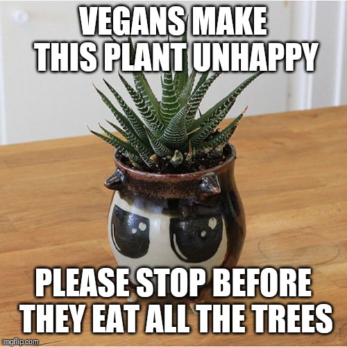 Pissed Off Potted Plant | VEGANS MAKE THIS PLANT UNHAPPY; PLEASE STOP BEFORE THEY EAT ALL THE TREES | image tagged in pissed off potted plant | made w/ Imgflip meme maker