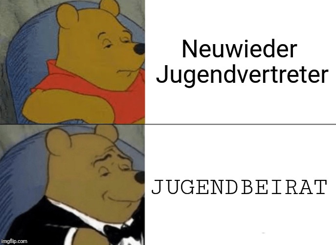 Tuxedo Winnie The Pooh Meme | Neuwieder Jugendvertreter; JUGENDBEIRAT | image tagged in memes,tuxedo winnie the pooh | made w/ Imgflip meme maker