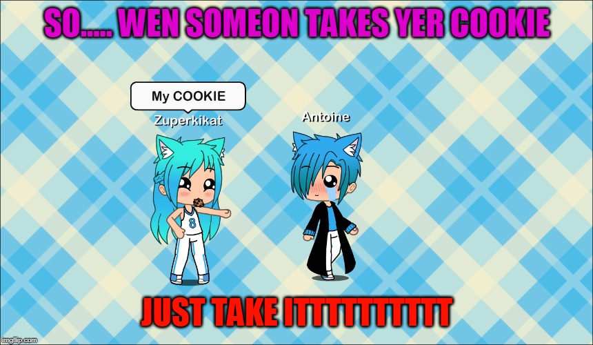 MY COOKIEEEE | SO..... WEN SOMEON TAKES YER COOKIE; JUST TAKE ITTTTTTTTTT | image tagged in cookies | made w/ Imgflip meme maker