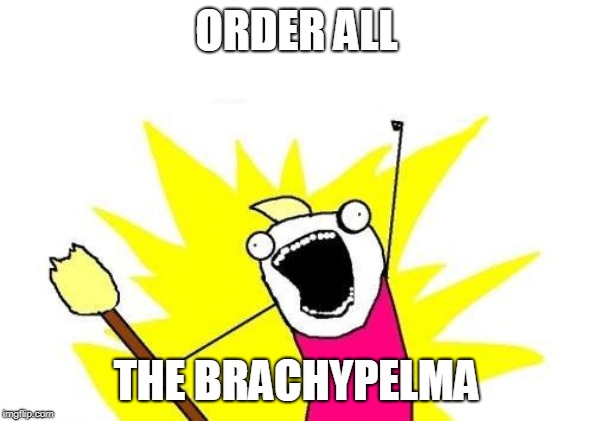 X All The Y Meme | ORDER ALL; THE BRACHYPELMA | image tagged in memes,x all the y | made w/ Imgflip meme maker