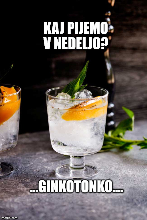 Gin tonic | KAJ PIJEMO V NEDELJO? ...GINKOTONKO.... | image tagged in gin tonic | made w/ Imgflip meme maker