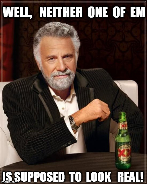 The Most Interesting Man In The World Meme | WELL,   NEITHER  ONE  OF  EM IS SUPPOSED  TO  LOOK   REAL! | image tagged in memes,the most interesting man in the world | made w/ Imgflip meme maker